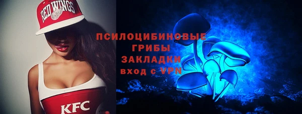 крисы Гусиноозёрск