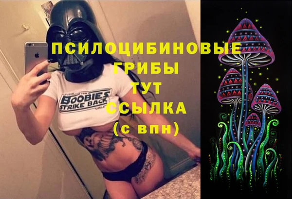 кокс Гусь-Хрустальный