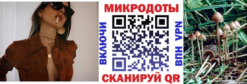 купить наркотик  Кисловодск  Галлюциногенные грибы прущие грибы 