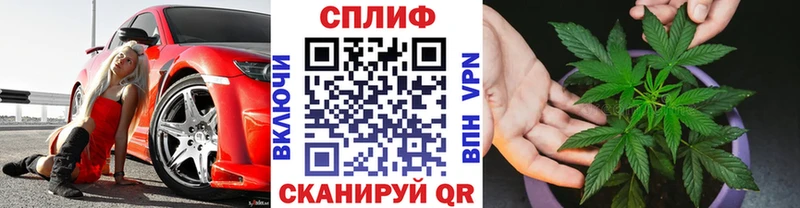Шишки марихуана OG Kush  Кисловодск 